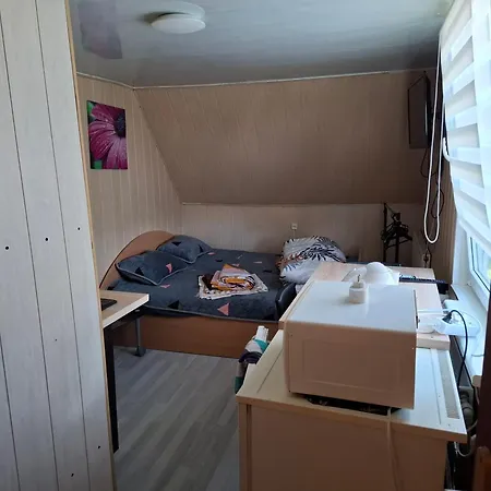 Antras Aukstas Dvivietis Sveciu Namai Pas Neila ホームステイ *